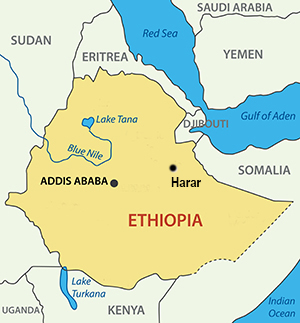 High and Far Ethiopia Tour and Travel